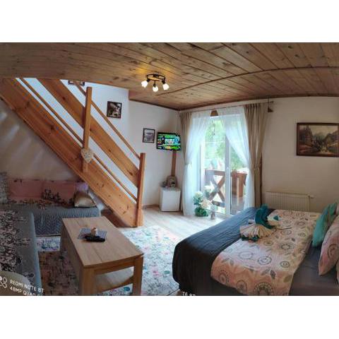 Privat Gazda Pension