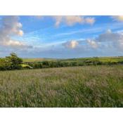 Private and peaceful stay in a Luxury Shepherds Hut near Truro