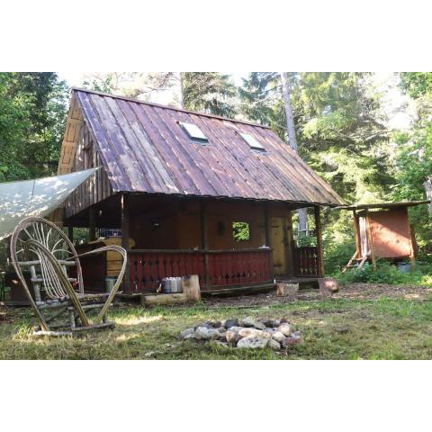 Private forest cabin on a small-scale homestead