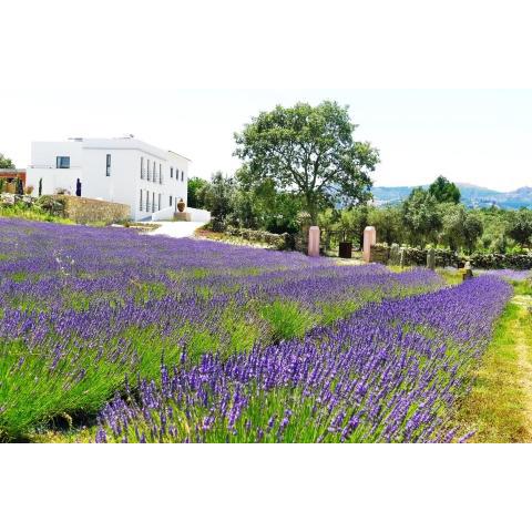 Quinta das Lavandas