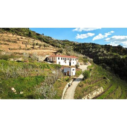 Quinta do Fojo Valonguinho, Barrô