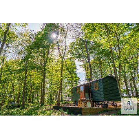 Red Kite Retreat - Four Stunning Woodland Cabins