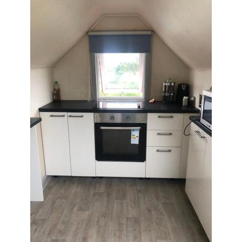 Room with shared kitchen