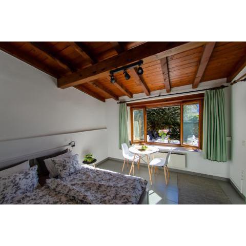 Rustico al Sole - Just renewed 1bedroom home in Ronco sopra Ascona