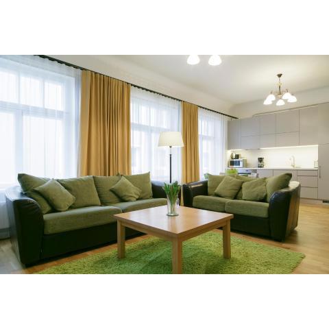 Saaresalu City Center Apartment