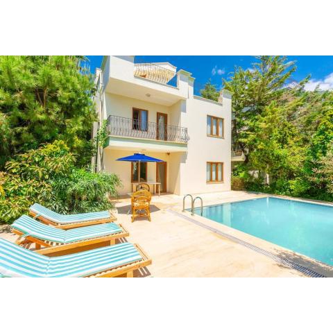 Sea View Villa with Private Pool Hebessos Kalkan ID:402