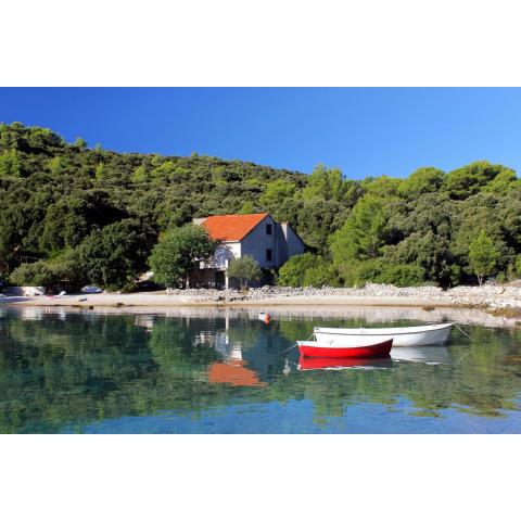 Seaside holiday house Cove Vrbovica bay - Vrbovica (Korcula) - 9223