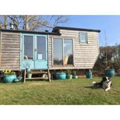 Secluded Shepherds Hut, with a view and hot tub