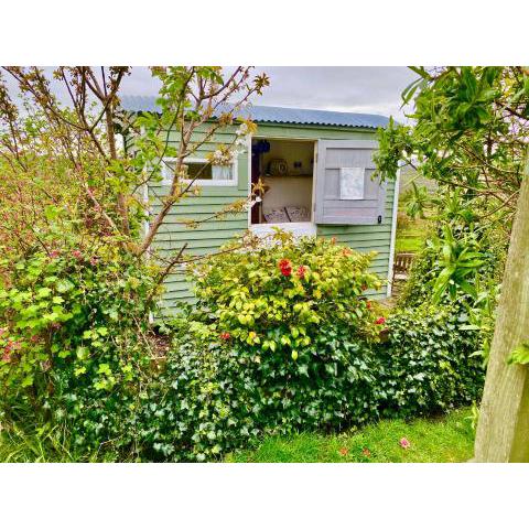 Shepherd's Hut Glamping Accommodation