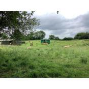 Shepherds Hut (Benny's)