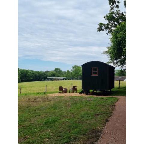 Shepherds hut surrounded by fields and the Jurassic coast