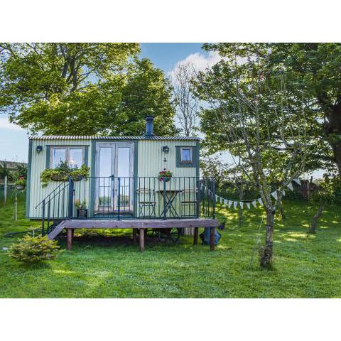 Shepherds Hut - Ukc6774