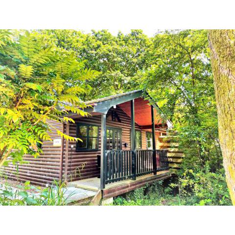 Shrew Lodge-woodland Lodges-Hot Tub-Pembrokeshire-Tenby