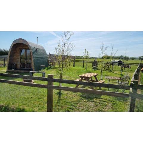 Skipbridge farm glamping