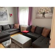 Spacious 2 bedroom apartment Zell-am-See town center