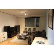 Spacious 3 room flat with balcony at City Center