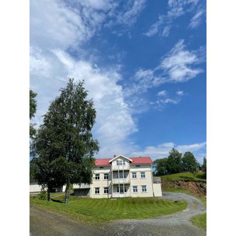 Spacious apartment in beautiful Norway countryside close to trondheim fjord