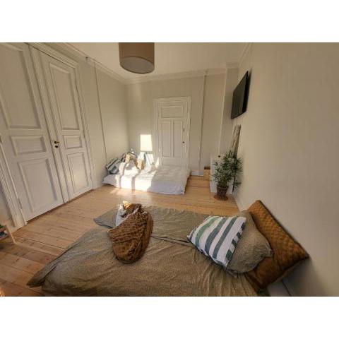 Spacious family apartment near Palace