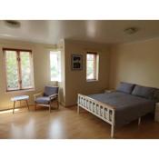 Spacious Room in Leafy, Quiet N4