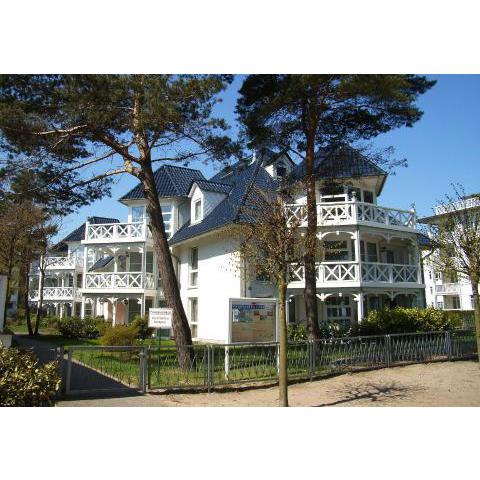 Strandläufer im Haus Strelasund