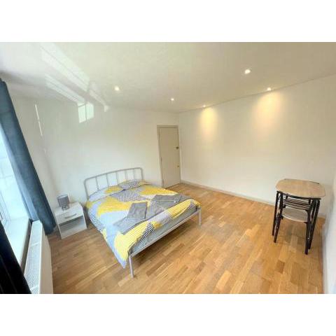 Studio Apartments in Sutton (South London)