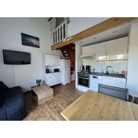 Studio Cap d'Agde, 2 pièces, 4 personnes - FR-1-702-8