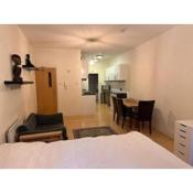 Studio Flat In Central London