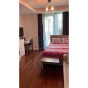 Studio Flat-One Room in lux residence near Taksim-Beyoglu