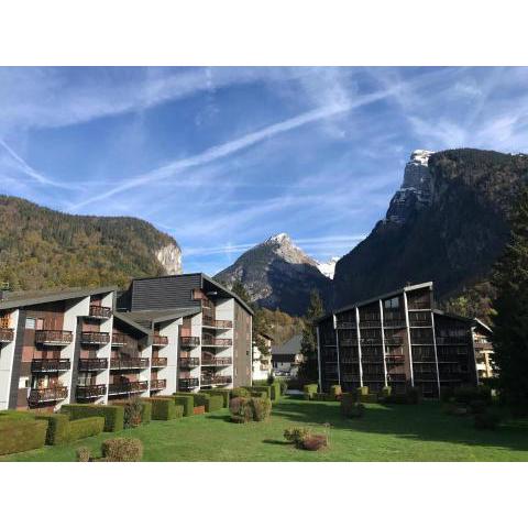 Studio Samoëns, 1 pièce, 4 personnes - FR-1-629-117