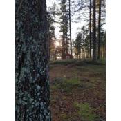 Stuga ROS Naturcamping Lagom