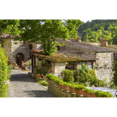 Stunning 4BR 4BA Farmhouse - Castellina in Chianti