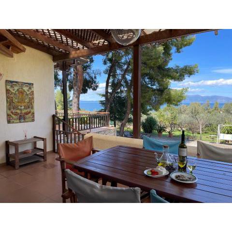 Stunning Evia Sea View Country House