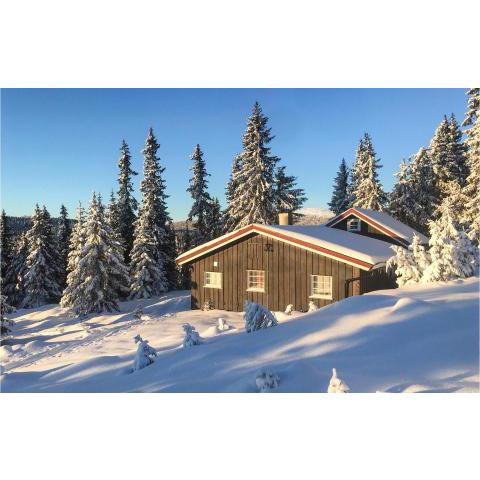 Stunning home in Lillehammer with 3 Bedrooms and WiFi