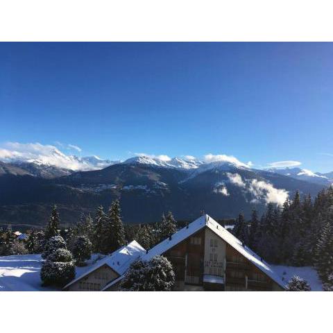 Stunning view over the Swiss Alps - Ski in & out