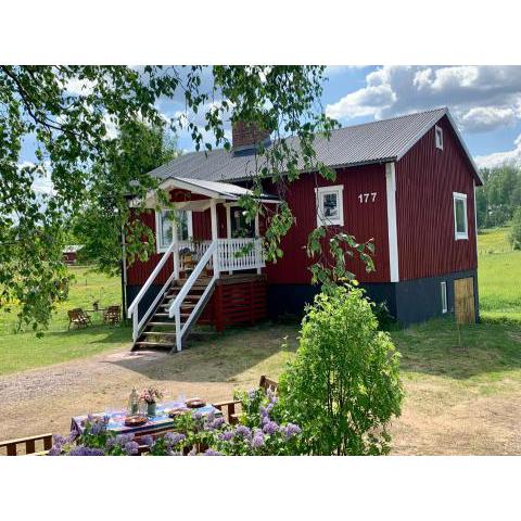 Super cosy cottage in heart of Dalarna