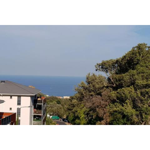 Superbe T1 à bastia vue sur mer