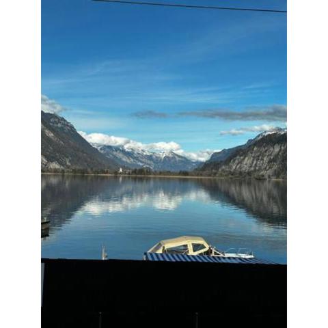 Swiss Lake Mountains Apartments