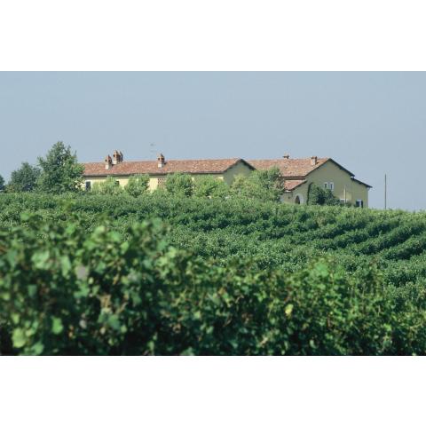 Tenuta 