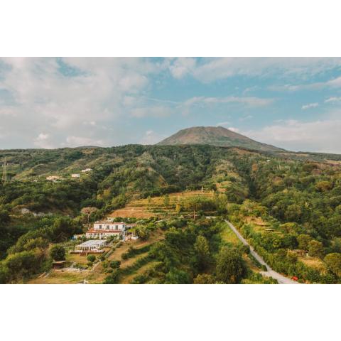 Tenuta Le Fornacelle