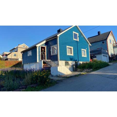 The Blue House at The End Of The World II