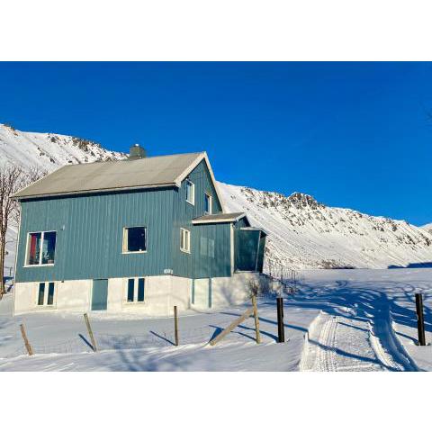 The Blue House in Lofoten