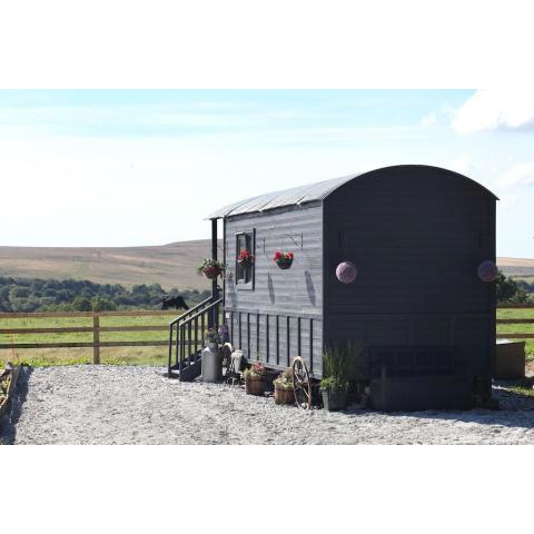 The Cloves Farm Shepherd’s Hut