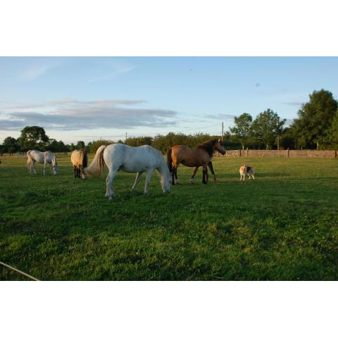 The Little Flock Farm