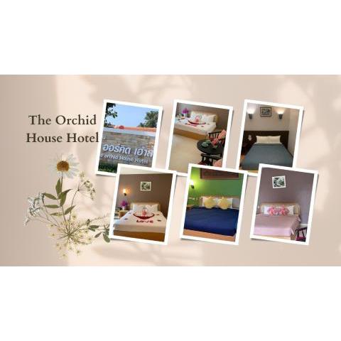 The Orchid House