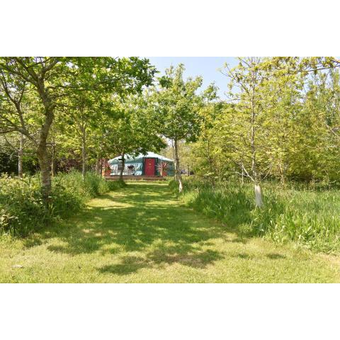 The Yurt in the woods a Glamping experience