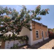 Traditional Rural House - Algarve