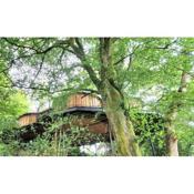 Treehouse In Devon - 1 bedroom