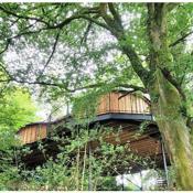 Treehouse in Devon - 2 bedrooms