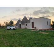 Trullo il vecchio Fico