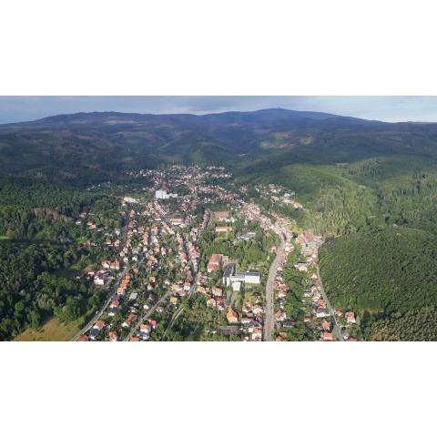 Urlaub beim Fürst